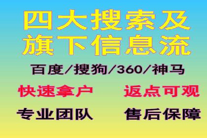 SEM广告投放案例：揭秘高转化率秘诀