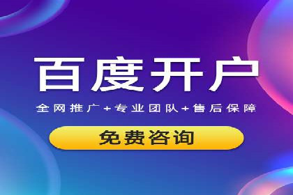 SEO百度推广策略：成功案例解析